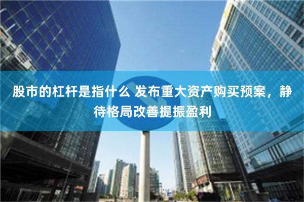 股市的杠杆是指什么 发布重大资产购买预案，静待格局改善提振盈利