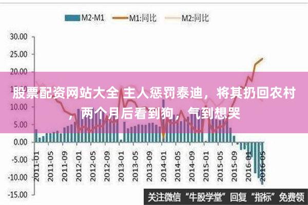 股票配资网站大全 主人惩罚泰迪，将其扔回农村，两个月后看到狗，气到想哭