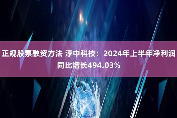 正规股票融资方法 淳中科技：2024年上半年净利润同比增长494.03%