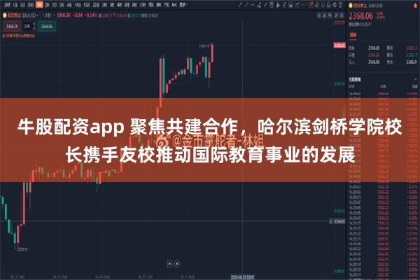 牛股配资app 聚焦共建合作，哈尔滨剑桥学院校长携手友校推动国际教育事业的发展