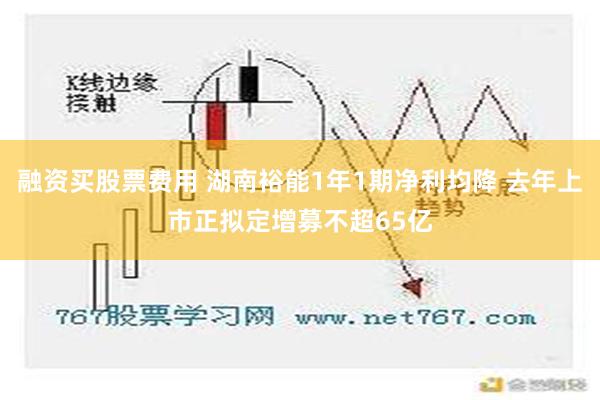 融资买股票费用 湖南裕能1年1期净利均降 去年上市正拟定增募不超65亿