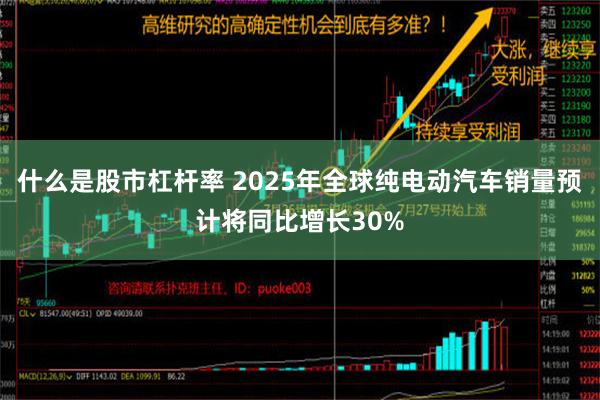 什么是股市杠杆率 2025年全球纯电动汽车销量预计将同比增长30%