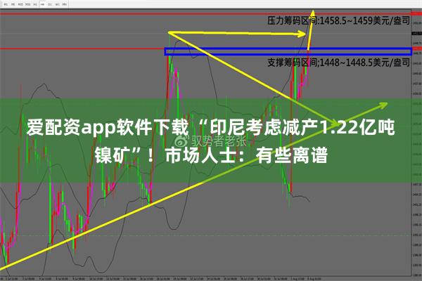 爱配资app软件下载 “印尼考虑减产1.22亿吨镍矿”！市场人士：有些离谱