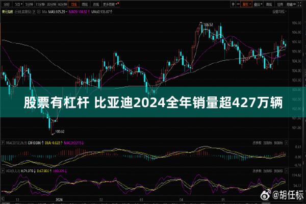 股票有杠杆 比亚迪2024全年销量超427万辆